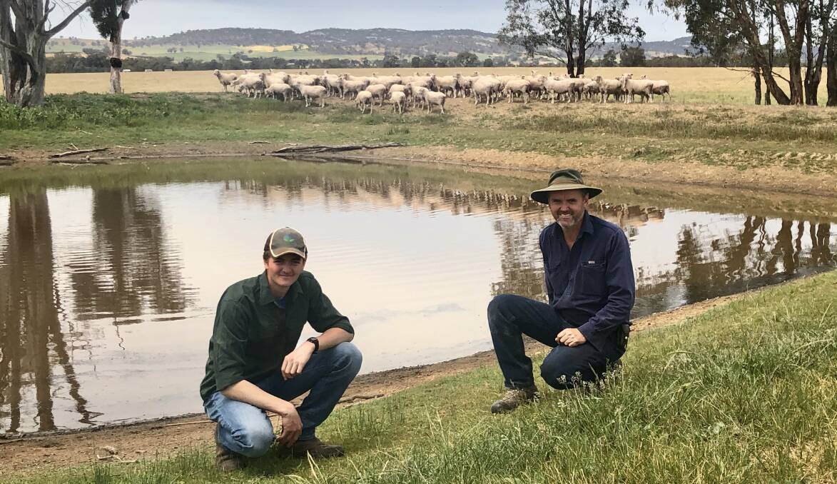 Peter Rayner and his son Harry have adapted their business to incorporate sheep, starting a Merino flock at the family's Walla Walla property, aptly named Merino Park, to mitigate cropping risks. 