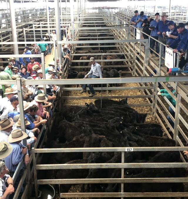 The best run of Angus weaner steers made from 320c/kg to 330c/kg.
