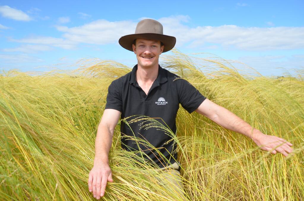 Fraser McNaul, Wakool, in one of their paddocks of teff, an ancient grain originating from Ethiopia. The McNauls sell teff-based products and are hoping soon to start their own processing centre.