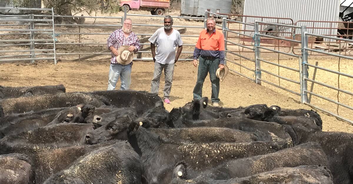 Bob Crawford (on right) with David Godfrey and Will Taylor who helped him draft their AuctionsPlus sale-topping weaners into the yards. Photo supplied. 