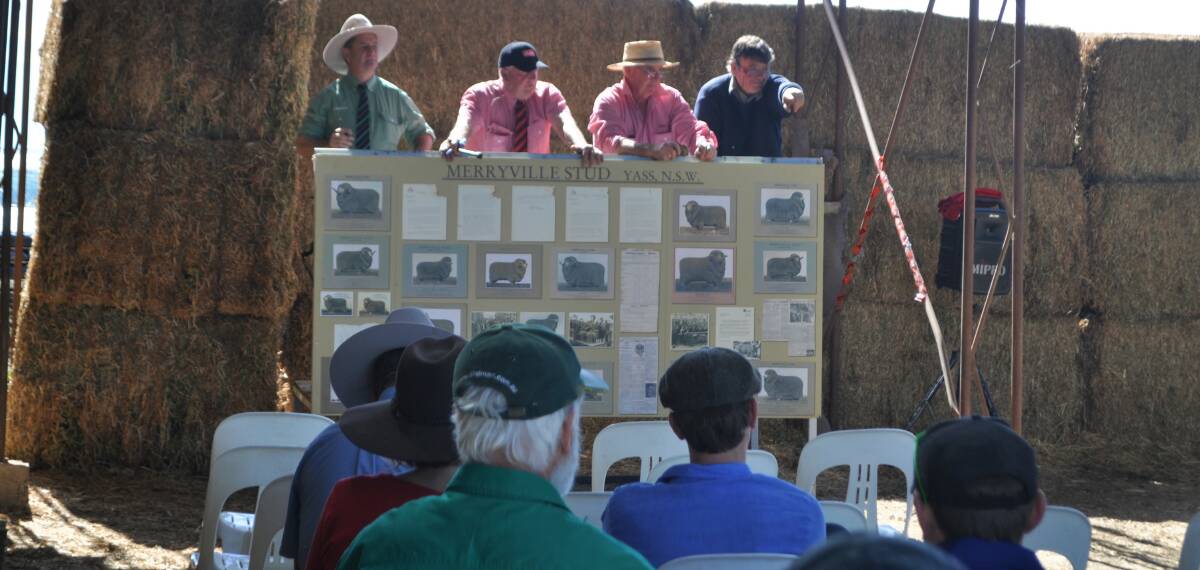 Taking the bids at Merryville's 20th Annual On Property Sale. Merryville sold 119 rams for an average of $2127.