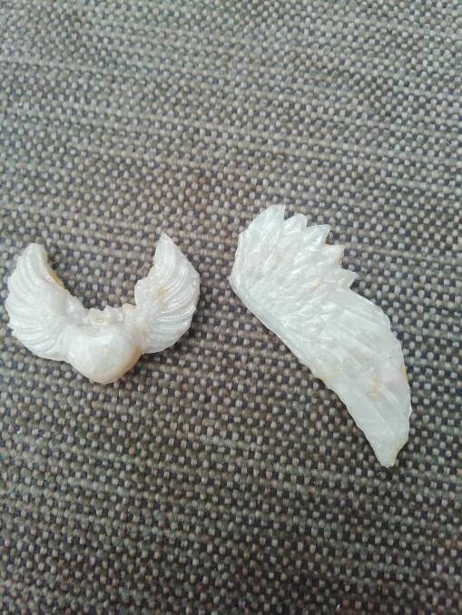 Melissa Portingale created a winged love heart with the remains of the Ooshie.