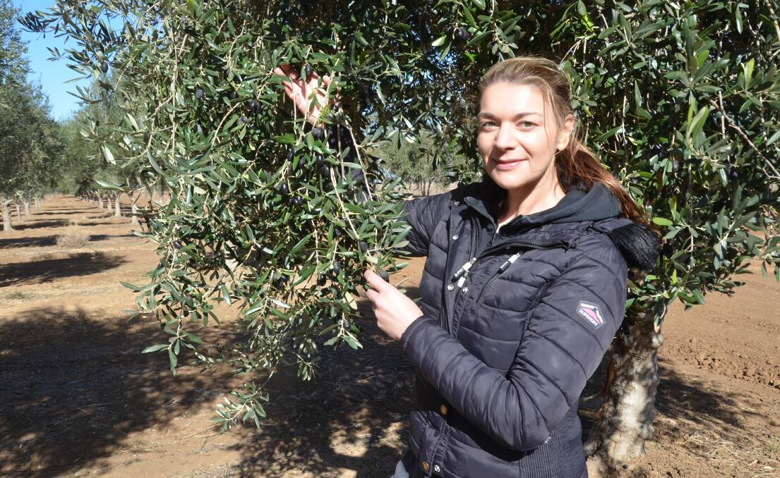 Tanya Rorato, Olive Oil Australia, Jerilderie. The Roratos are hoping to produce 300,000 litres of olive oil this year. 