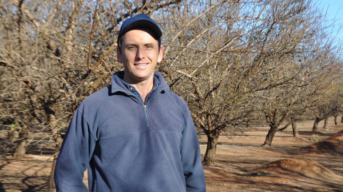 James Callipari, Griffith is a fourth-generation farmer. His 275 hectare almond orchard is one of Almondco's 20 family-owned orchards in the Riverina, which represent over 80pc of the Almondco grower members in the region. 