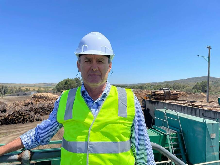 Hyne Timber director James Hyne at the Tumbarumba Mill. Mr Hyne said with government support they could divert logs headed for export in order to feed the mill during their bushfire recovery. 