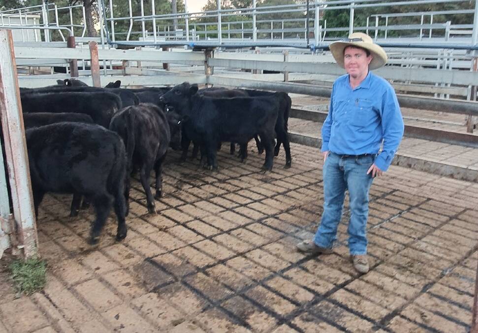 Ben Clarke, Farrell McCrohon with Arndilly Pastoral weaners from Tullymorgan. Photo supplied.