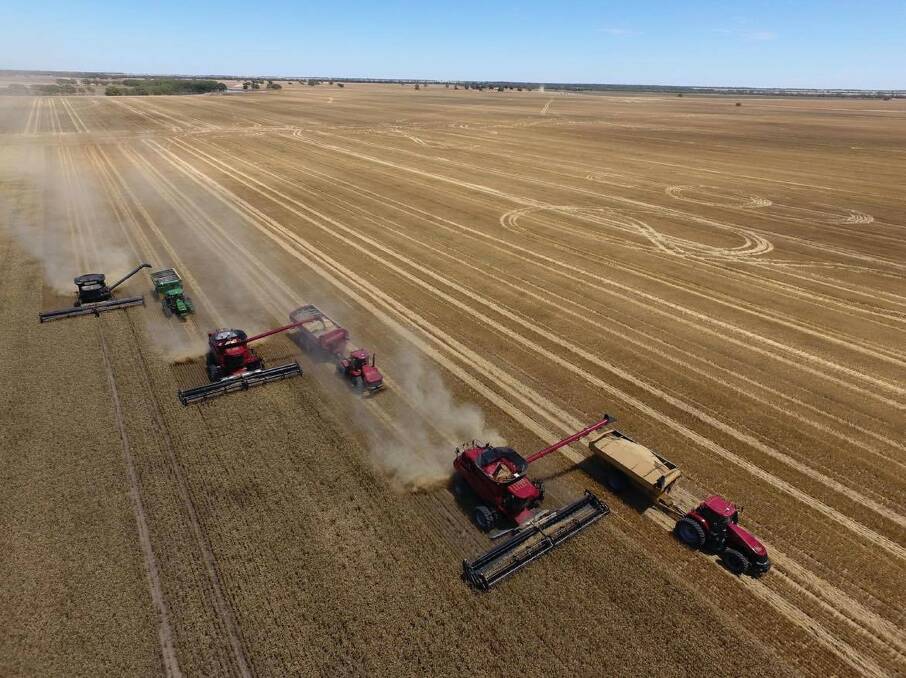 Like so many farmers I have interviewed this year, harvest was one of the best we've ever seen. Photo: Tom Grant
