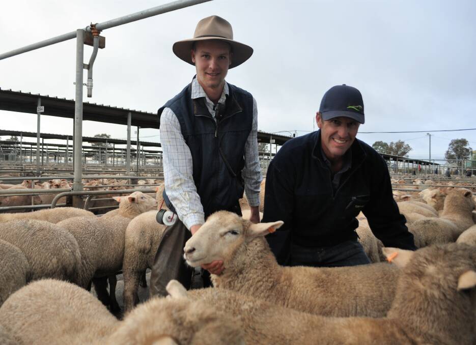 Adam and Tim Boyd, Mangoplah with their second cross lambs by Charollais cross White Suffolk rams. The lambs weighed up to 97kg and sold for $334.20/head. 