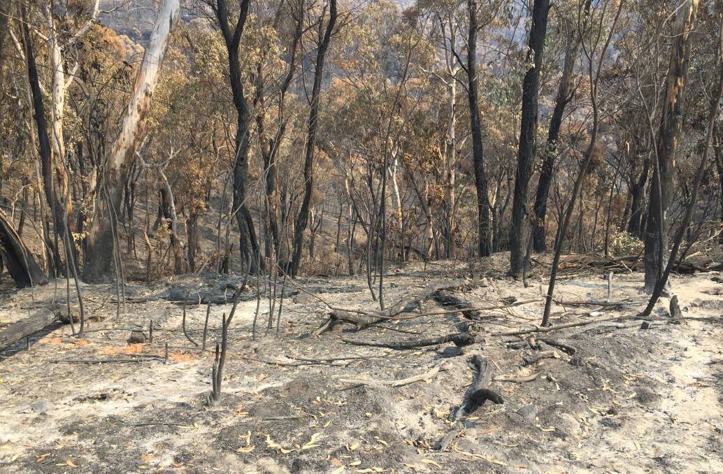 Land management was a key issue raised at community forums held by the federal bushfire royal commission.