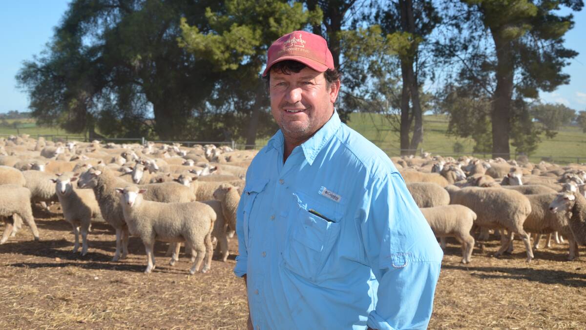 Simon Male, Henty, with some of the lambs he will be sending as suckers to the Wagga Wagga saleyards during the next few weeks. Trade lamb prices averaged 838c/kg this week, having risen 140c/kg in the last month. Photo: Olivia Calver