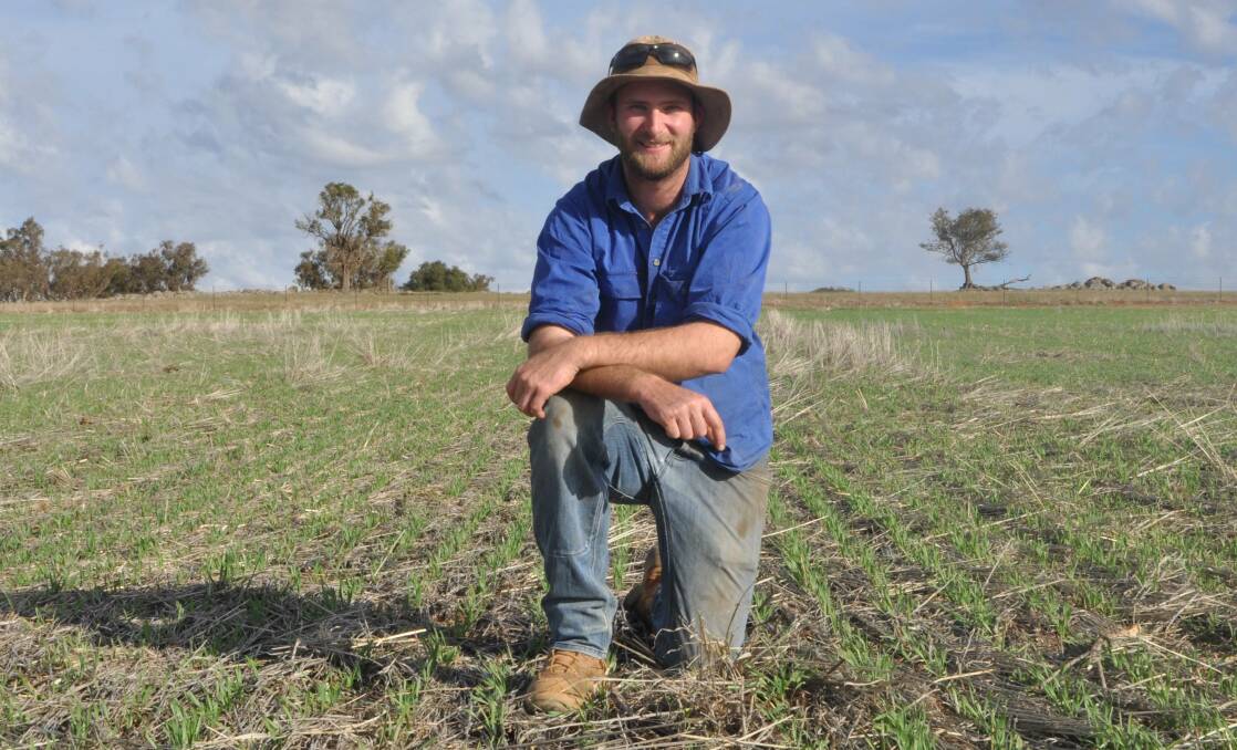 Dan Fox with his Planet barley, sown at 30-50mm, from April 30 this year. The Foxes switched to the Planet variety from LaTrobe due to its high yield potential and frost resistance. 