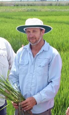 NSW DPI researcher Brian Dunn said their study has shown that aerobically grown rice is not yet a commercially viable option for growers in Southern NSW.