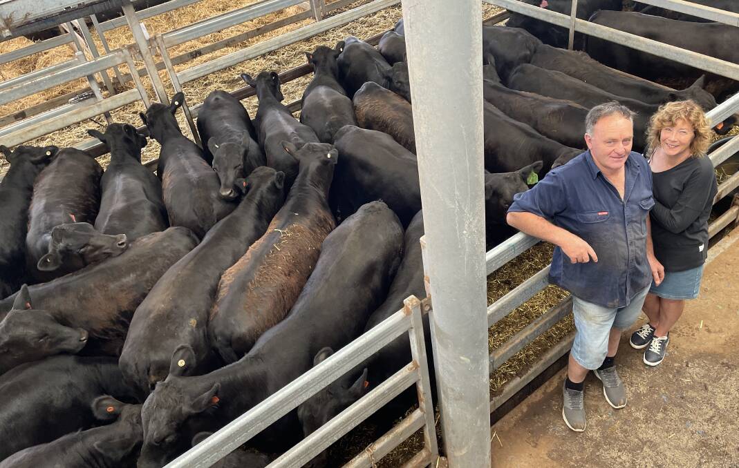 Garry and Judy McNamara, Colac West, Vic, paid a top price of $1880 for 29 Angus heifers from Narracalca Partnership, Coolac (full report, p50).