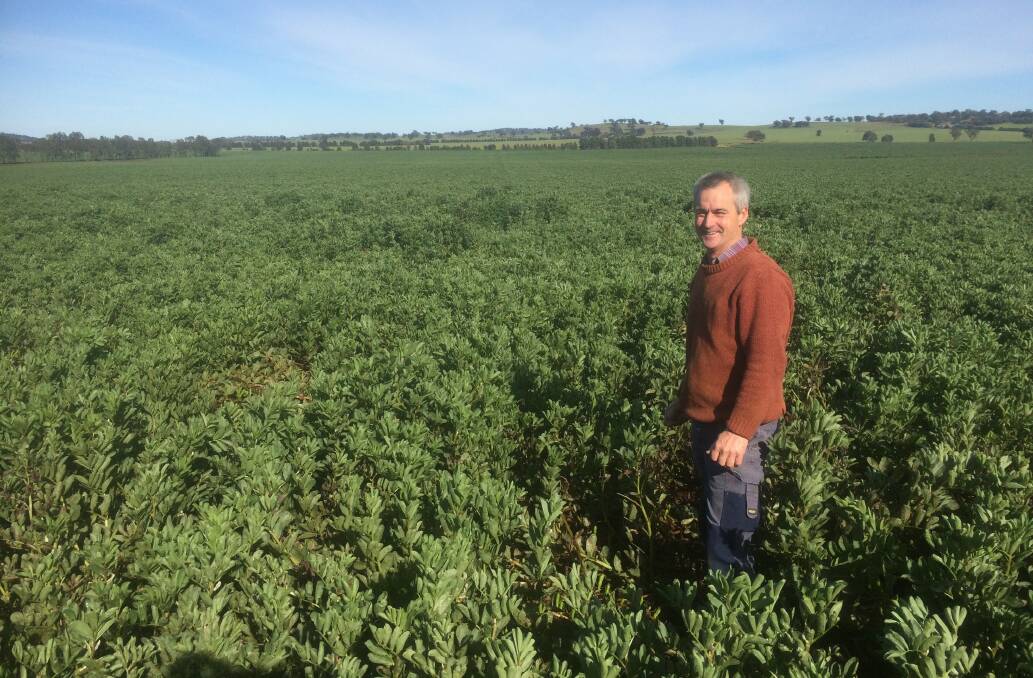 Tony Swan said one of his current projects was getting more pulses into the system. Photo supplied. 