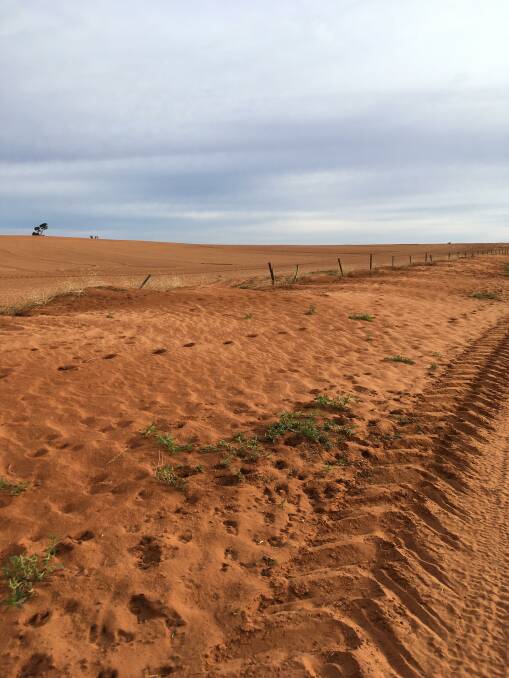Wind has pushed over fences and created drift hills. Photo: Supplied 