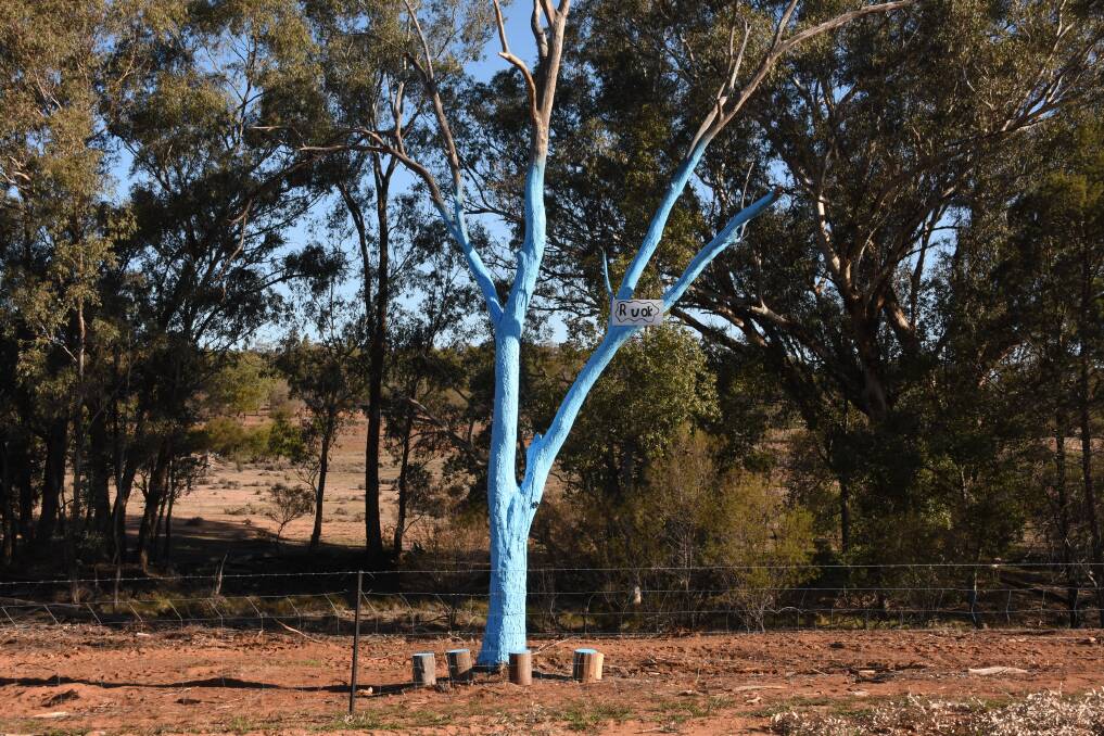 The tree Barmedman residents, Sharee and Graeme Stewart painted. The Blue Tree Project started in WA but has now spread to nearly every state in Australia. Photo Shantelle Stephens. 