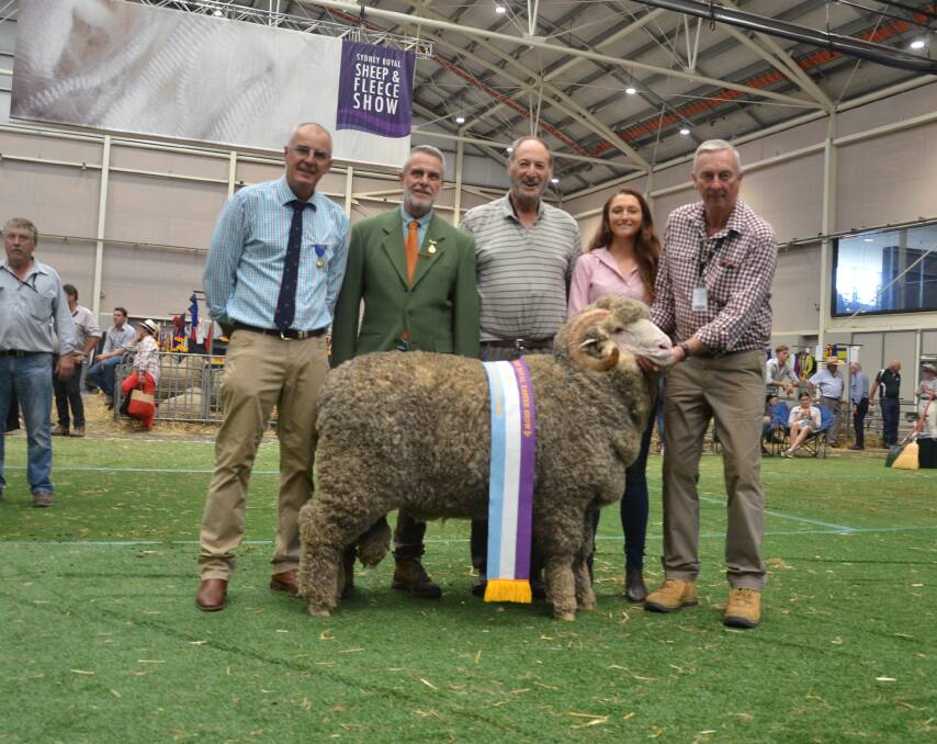 SUPREME EXHIBIT: Hollow Mount's strong wool, August-shorn ram was named Supreme Exhibit. Pictured with strong and medium wool judge Garry Kopp, Towonga, Peak Hill, Greg Andrews, RAS sheep committee chairman and Hollow Mount, Bigga's Ken Wolf, Avalon McGrath and David Zouch. 
