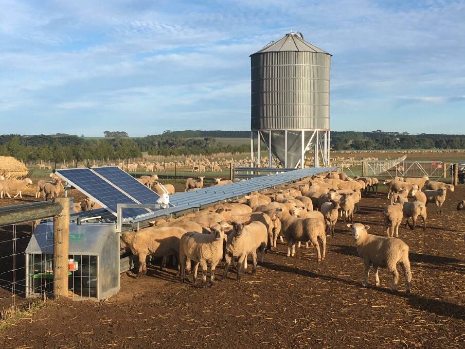 Farmers can never be replaced but if automation and technology is embraced they will be smarter, armed with tools that allow them to make better decisions on when to sell, what to buy and how much to feed. Photo: The Sheperd Ag