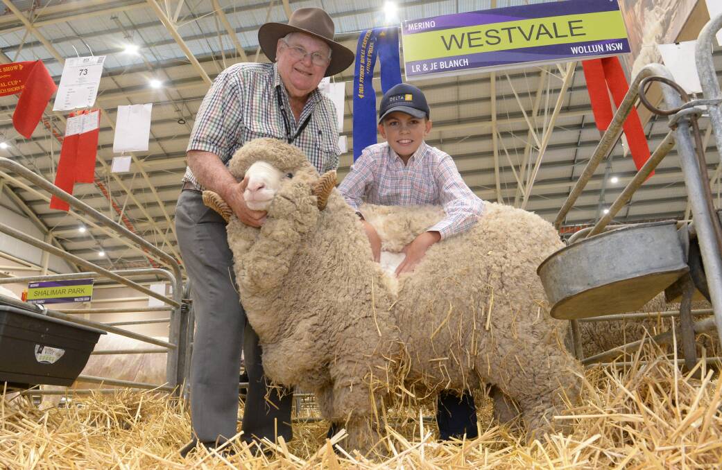 Leo Blanch, Westvale stud, Wollun, gives 13-year-old Campbell Palmer, Temora, advice on starting his own Merino stud. Picture: Rachael Webb
