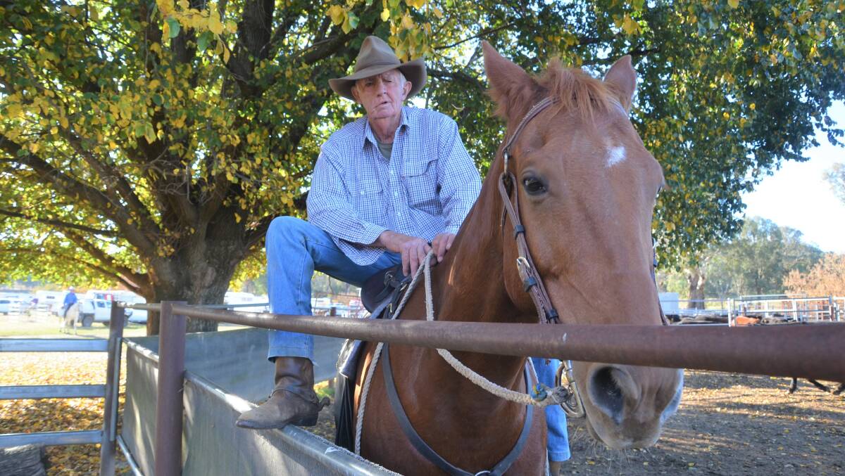 Neville Clarke on one of his friends, the Pendergasts' horses at the Tarcutta Campdraft. Neville has been competing in campdrafts for more than 50 years and shows no signs of slowing down - beating out close to 35 entrants to win a feature cut-out event earlier this month. 
