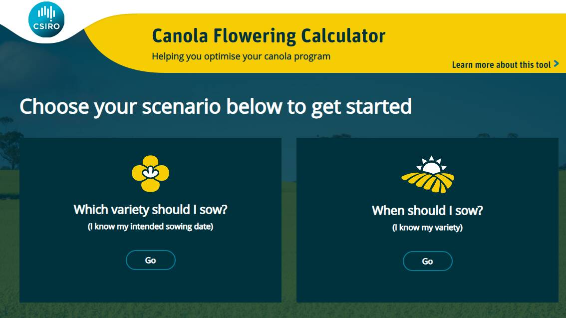 The Canola Flowering Calculator gives growers insights on what variety to sow or what date to sow so canola flowers at the optimal time. 