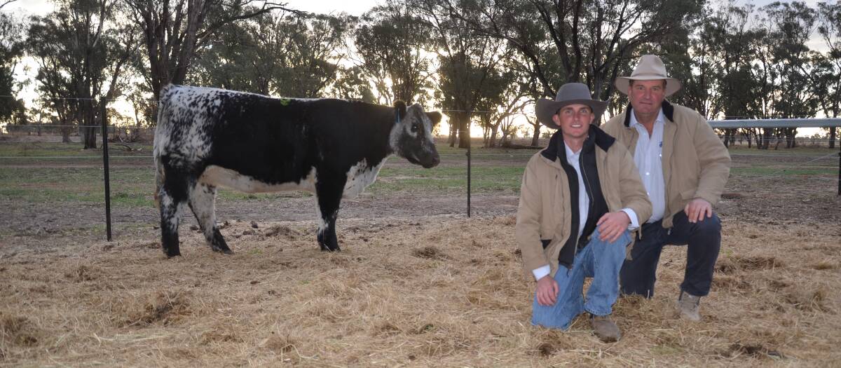 Jackungah Koda Q17 sold for $38,000. Pictured with Jackungah's Jack and Sam Nelson. 