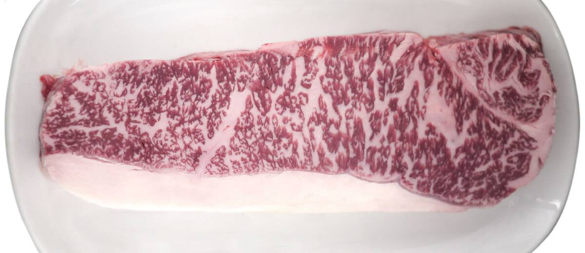 The industry says Wagyu cattle need to put on 800g/day to maximise marbling results. Photo: Australian Wagyu Association