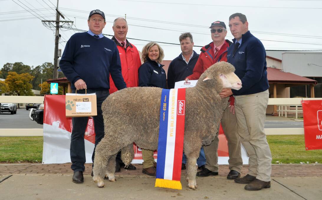 The Elders Riverina Merino ram of the year from Poll Boonoke with Livestock Manager, Justin Campbell, Malcolm Hunt, Elders, Annie Romanian from Apiam Animal Health, judge, Ken Noakes, Forbes, Clyde McKenzie, Elders and Poll Boonoke stud manager Shannon Mitchell. 
