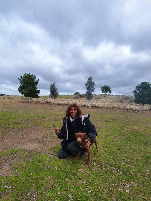 Wyangala Merino producer, Marian McGann has created mobile app, My Pocket Mate - Stock Keeper. She is now one of 12 successful applicants to take part in the Farmers2Founders Ideas Program. Photo supplied. 