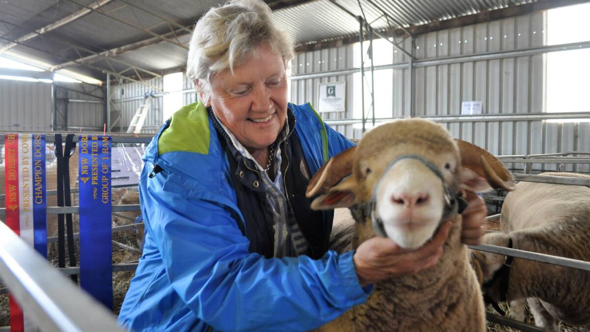 Sue McGoldrick, Bimbadeen Park with her champion ewe. 