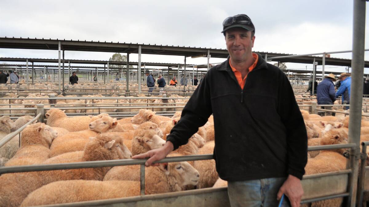 David Fox, Brigadoon, Marrar sold his last pen of lambs for $314 a head. The fourth generation farming family have transitioned from sheep to cropping. 