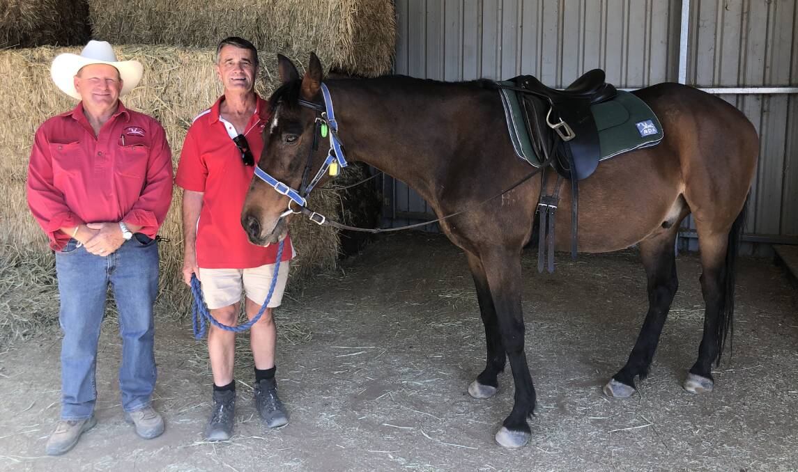 Wagga RDA head coach, Darren Judd said they are struggling to source hay. Pictured with volunteer Russell Ubrihien and one of the branch's 16 horses, Barney. 