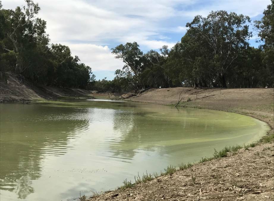 Irrigators Peter and Jane Harris have lost their appeal in the Supreme Court after being found to have illegally taken water from the Darling River. Photo: File 