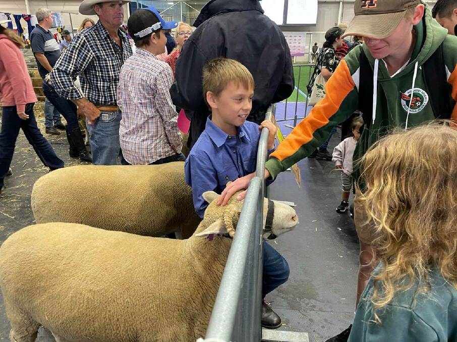 Dyllan, 11, from Coonabarabran showing off a Dorset Horn ram to spectators at the show - helping to bridge the divide between the livestock industry and the public. 