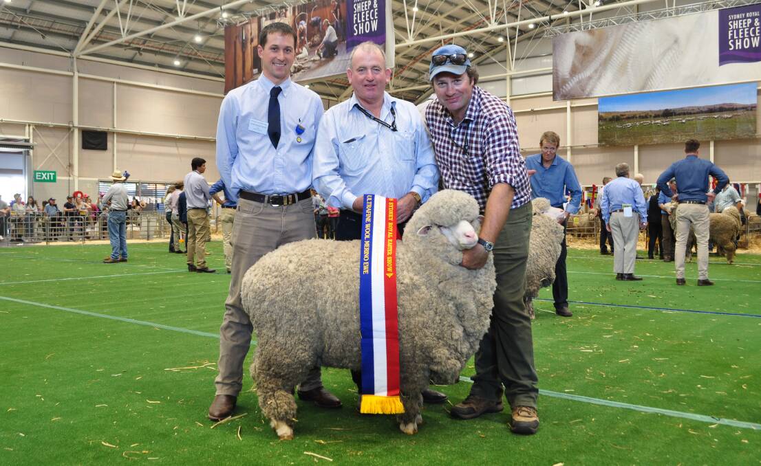Grand champion ultrafine ewe shown by Max and Andrew Rayner, Grathlyn, Hargraves. Pictured, judge James Rayner, Pomanara, Sally's Flat, Tim Bower, Stanley Vale, Uralla and James Barron, Cooma. 