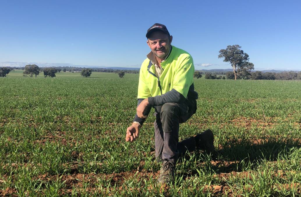 Joe Corrigan, Burrumbuttock has split his paddocks into three zones and soil tests each zone every two to three years to inform variable fertiliser rates. 