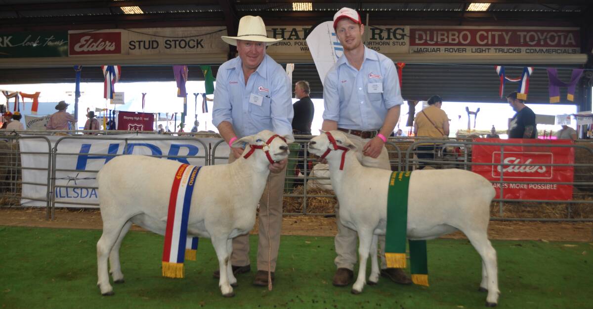 Graham and Ross Gilmore, Tattykeel, Oberon with their champion and reserve champion ewes. 