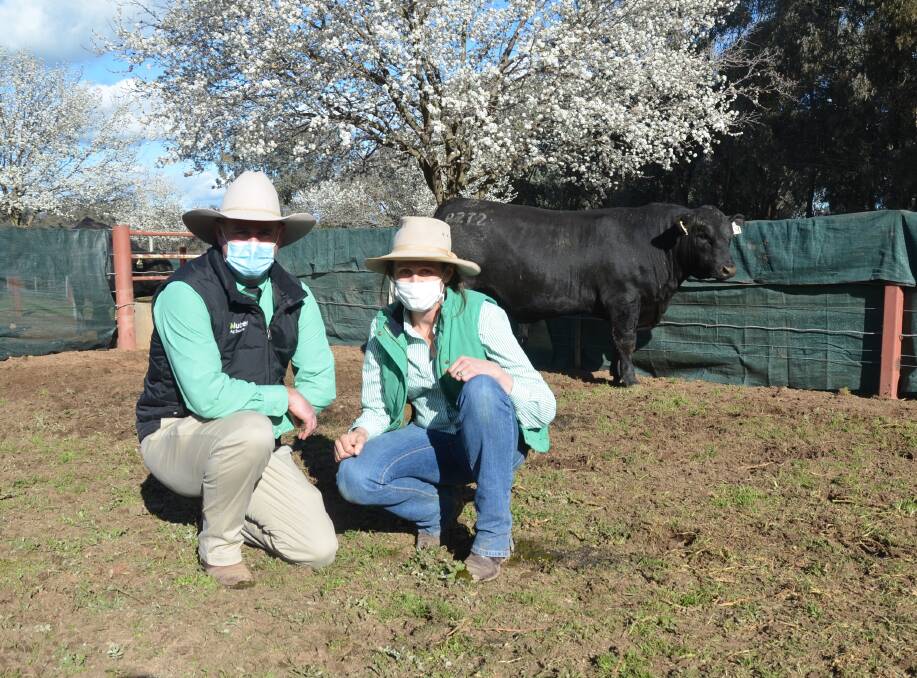 One of the top-priced bulls, Rennylea R272, with Nutrien's Peter Godbolt and Rennylea's Ruth Corrigan. 
