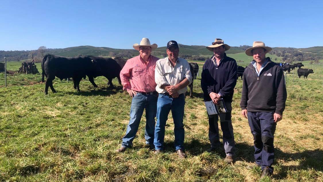 Elders Tim McKean with Crawford Angus stud principal Luke Graham and top-priced bull purchasers James and Jock Graham, Eulonga, Coolac. 