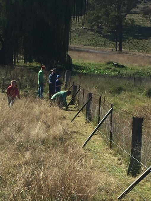 Putting up the 20km fence was a whole family affair over a 12-month period. Photo supplied. 