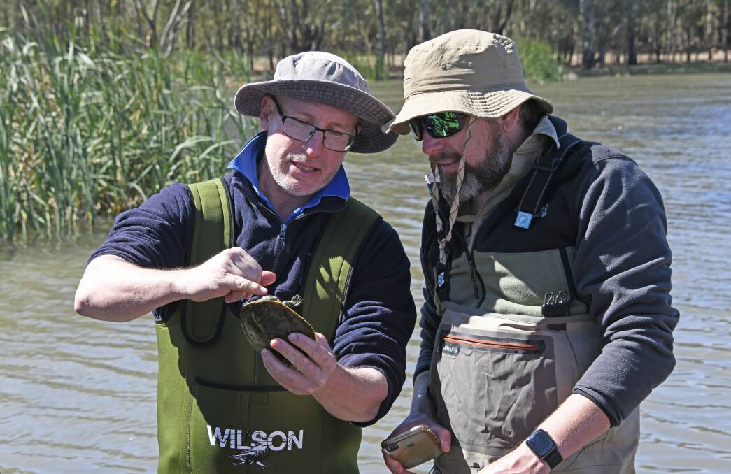 DPIE fish biologist Rex Conallin and Nature Navigation's Cecil Ellis examining a long-necked turtle found in Booberoi Creek. Photo by Mal Carnegie, Lake Cowal Foundation.