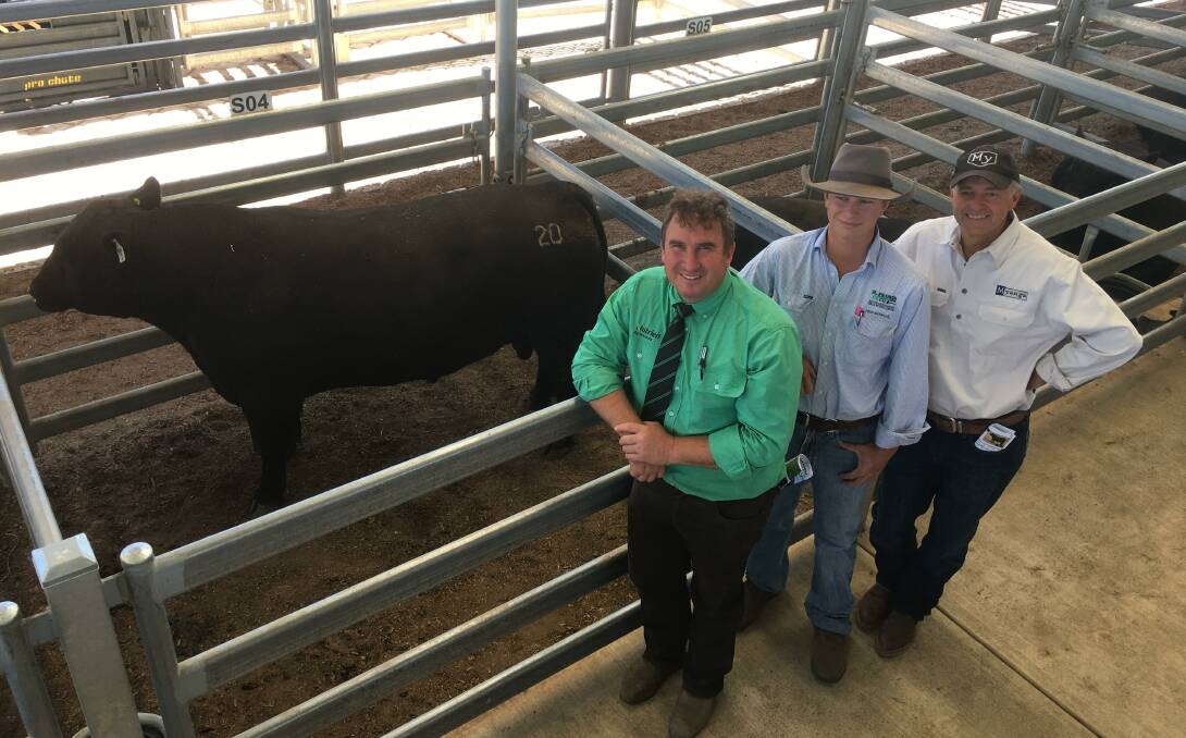 Nurtien's Tim Woodham with David Kosa, H.Francis and Co representing Col Lewin, Tumblong purchaser of the top-priced bull from Myanga Angus, Chatsworthy and Myanga Angus principal Stephen Dunne. Photo supplied. 