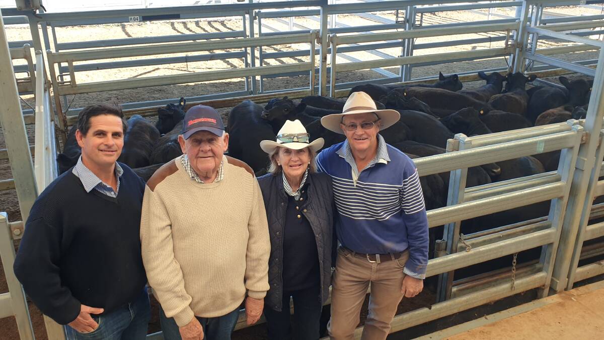 Gabby and Helen Waugh, Walcha, flanked by Pitt Sons agents Sam Payne and Gary Olrich. The Waughs sold the last of their cattle at Tamworth on Monday including 308kg Angus heifers for 481c/kg. While, there is still a trickle of restocker cattle coming through saleyards in the north, further south supply has almost dried up. Photo: Michelle Mawhinney