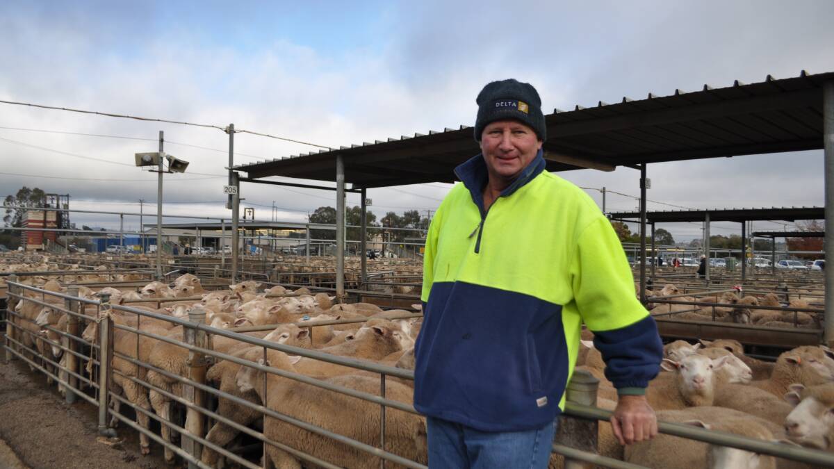 Geoff Brill, Glenvale, Ganmain has trialed measuring the average daily growth weight of his lambs in feed lots to better calculate feed budgets. 