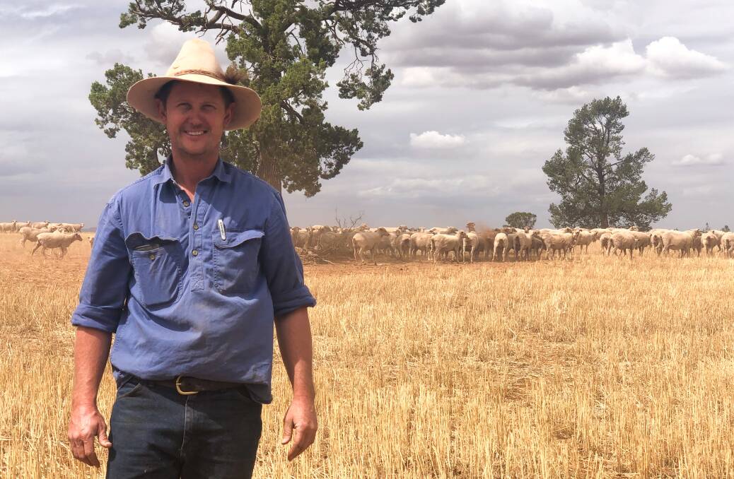 Hayden Hutchins, Narrandera, is looking to increase the percentage of Merinos in his operation which consultant Geoff Duffy says could offer more value than crossbreds.