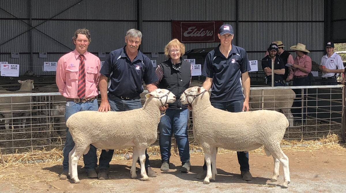 The two rams purchased by Deepwater stud, Binnum, SA with Will Stoddard, Elders, Wes Kember, Gleneith, Judy Dowdy, Deepwater and Nathan Kember, Gleneith. Photo supplied.