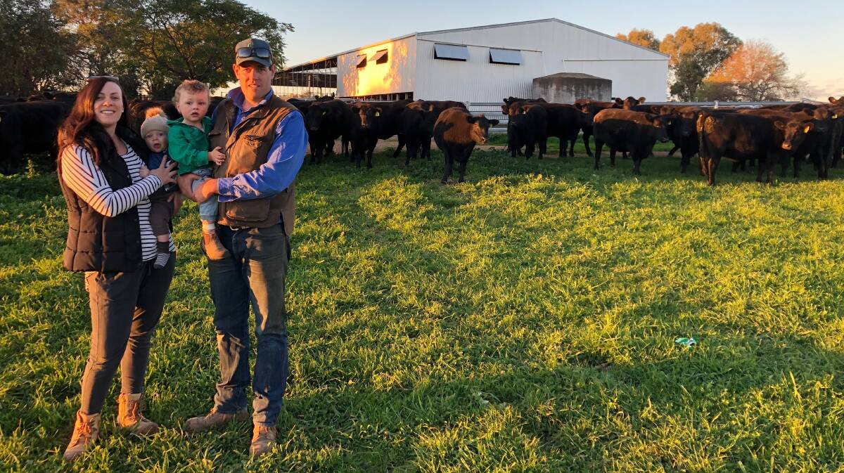 Helen and Colin Geddes, Warranboo Partnership, Holbrook with sons Edward, 11 months and Archie, 2, and the 28 PTIC Angus cows they sold for $2490. Photo supplied. 