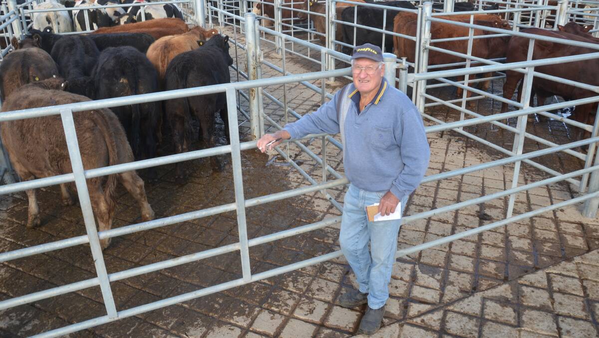Tom McDonell, North Wagga Wagga sold a pen of six Limousin cross steers, 405kg, in this week's prime sale. They sold for 490c/kg. 