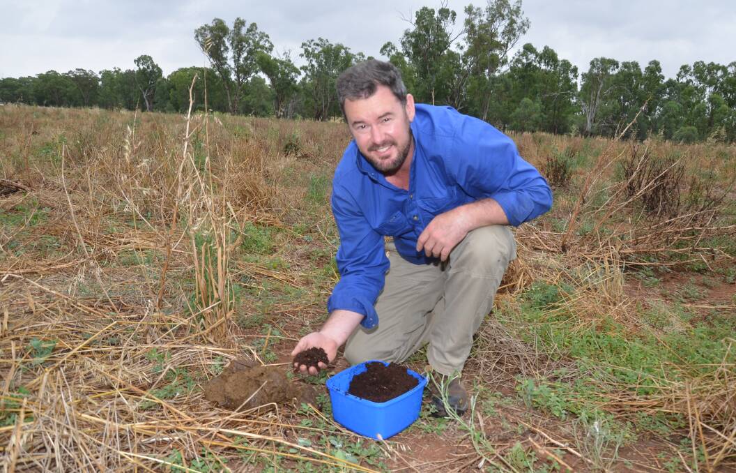 Tetaan Henning, manager of Boambolo Pastoral Company's recently purchased Wagga Wagga property, Wateela. Mr Henning released more than 2000 dung beetles on the property this week. 