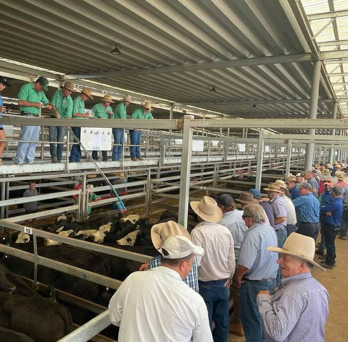Can you spot a woman? There are some parts of the livestock industry, like the saleyards, where women remain a rare commodity. 